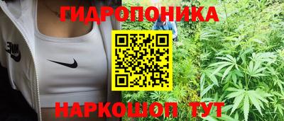 spice Жуковский
