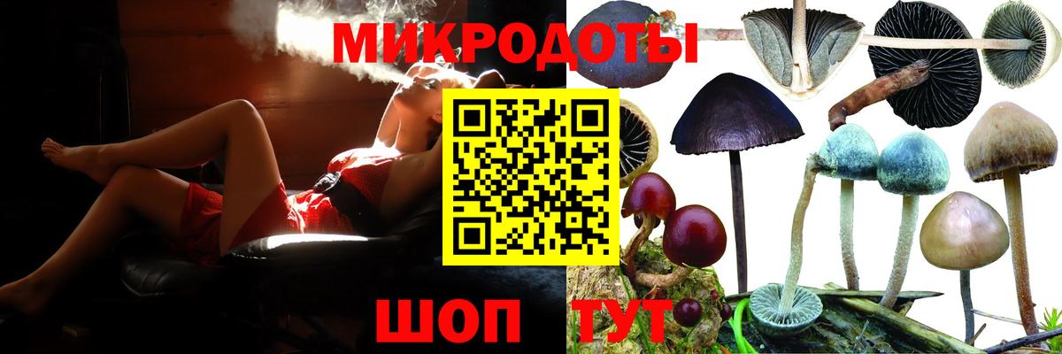 Галлюциногенные грибы Psilocybe  Вход с VPN  Ессентуки  Галлюциногенные грибы мицелий 