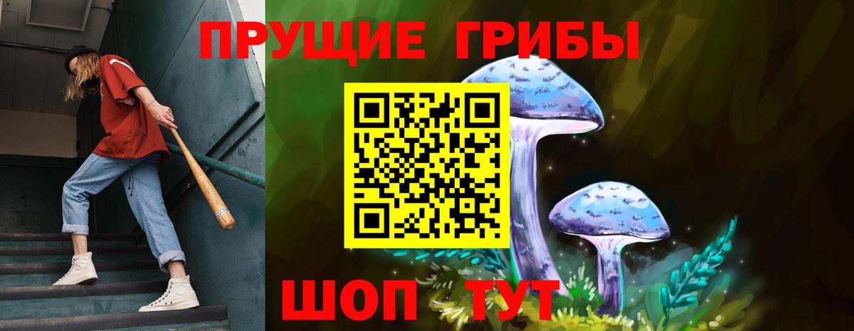 Галлюциногенные грибы Cubensis Ессентуки